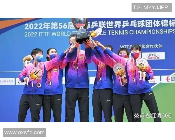 乒乓球赛事最佳得分记录揭秘与历史回顾分析