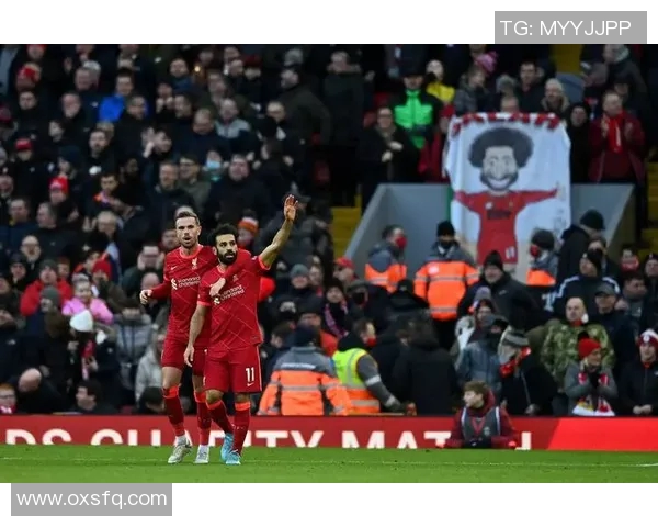 海外赛计划受阻引发关注各方积极寻求解决方案与应对措施