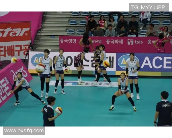 李昊高接抵挡技艺分析与实战应用探讨在现代排球中的重要性 李昊高接抵挡技艺分析与实战应用探讨在现代排球中的重要性