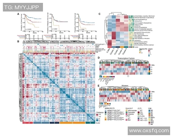 深入分析赛事数据揭示运动员表现与比赛结果的关联性
